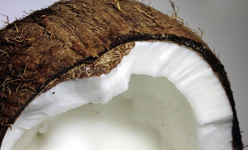 Cocco