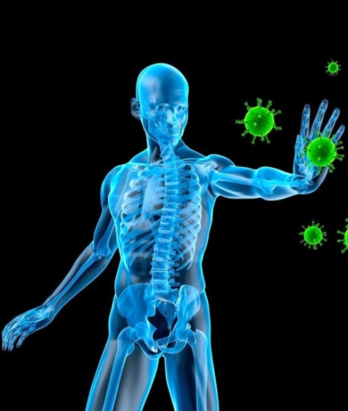 Sistema-immunitario