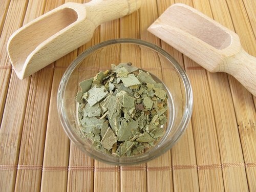 Ciotola con foglie secche di eucalipto