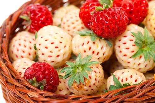 cestino con fragole e pineberry
