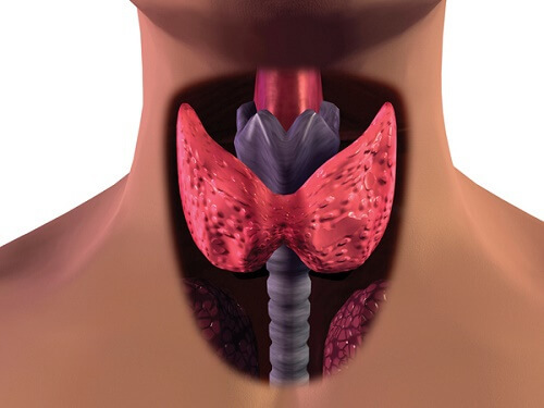 Cancro alla tiroide: quali sono i sintomi?