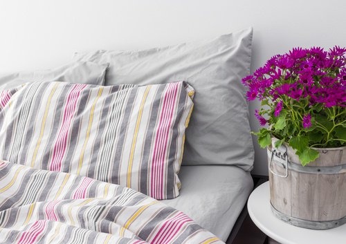 letto e pianta lavanda