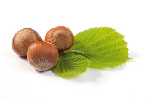 nocciola combattere le varici