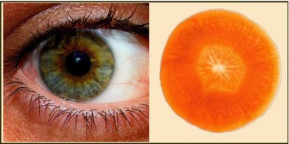 11 alimenti che parlano al corpo