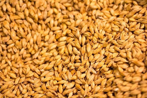 Orzo
