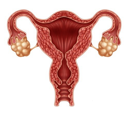 ovulazione - sanguinamento vaginale