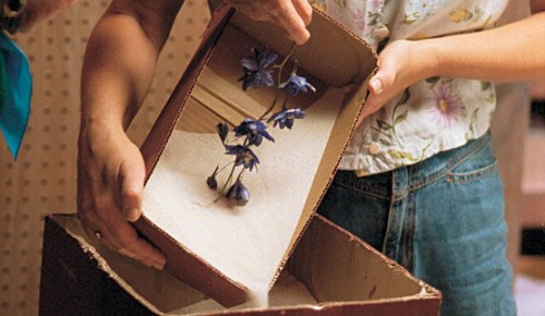 come essiccare i fiori con il gel di silice