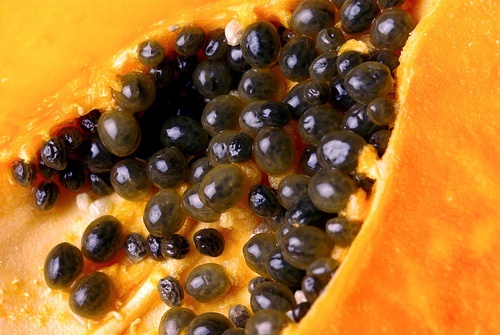 I semi di papaya