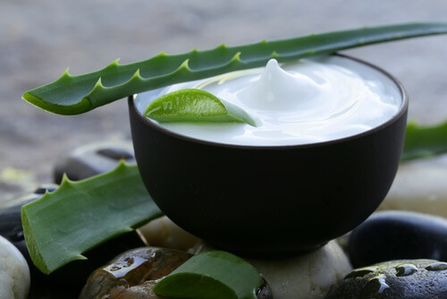 I migliori shampoo alle erbe per rivitalizzare i capelli I migliori shampoo alle erbe per rivitalizzare i capelli