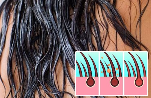 Capelli grassi
