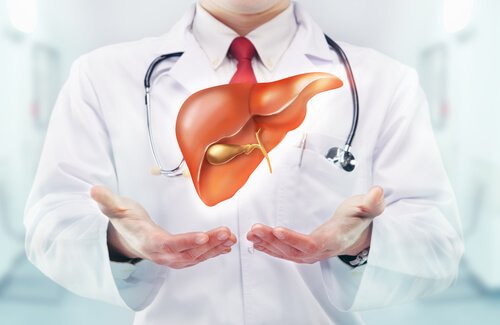 Consigli per migliorare la funzione di fegato e cistifellea