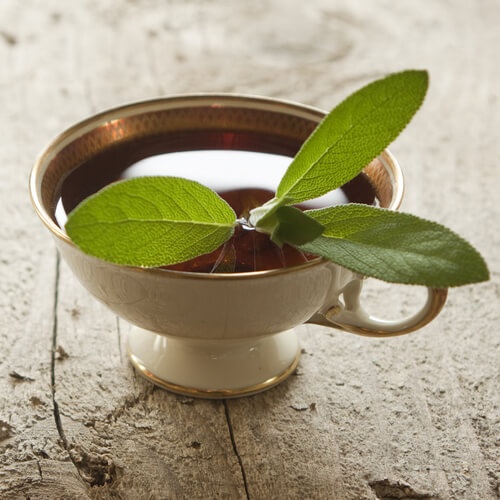Foglie di salvia