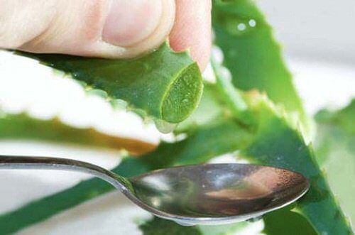 Scoprite 6 protettori gastrici naturali