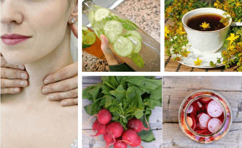 Prendersi cura della tiroide con le piante medicinali
