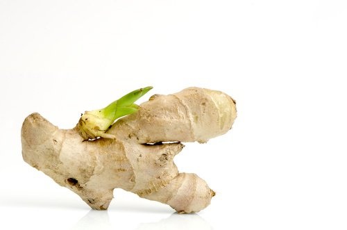 coltivare la pianta di zenzero con germoglio