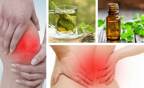 Il dolore: piante dalle proprietà analgesiche per ridurlo.