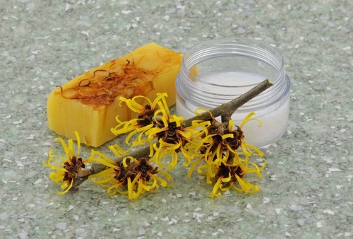 Hamamelis pianta e sapone
