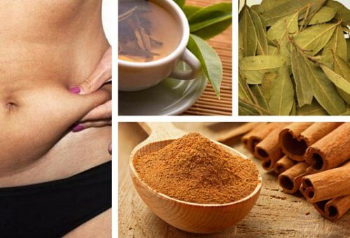 Cannella e alloro: trattamento brucia grassi naturale