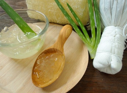 aloe-vera