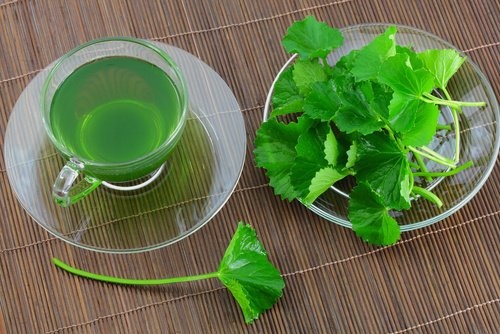 infuso al prezzemolo