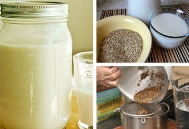 Latte di scagliola: motivi per cominciare a berlo