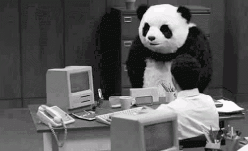 Panda che tira oggetti per terra