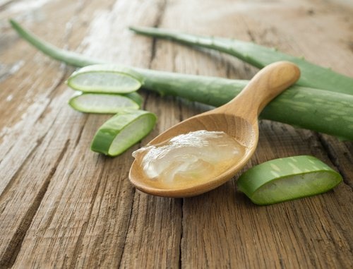 Benefici-dell'aloe-vera-500x381