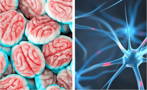Come reagisce il cervello quando smettiamo il consumo di zucchero