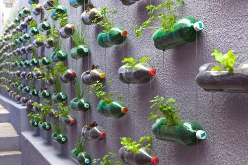 giardino verticale con le bottiglie di plastica