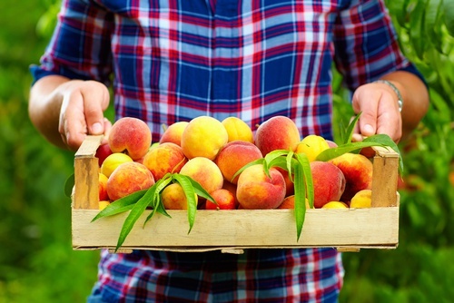 la pesca è ricca di vitamine
