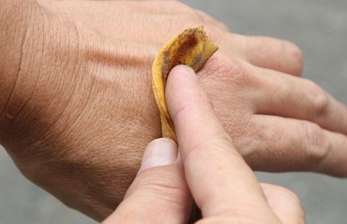 Buccia della frutta e possibili usi alternativi