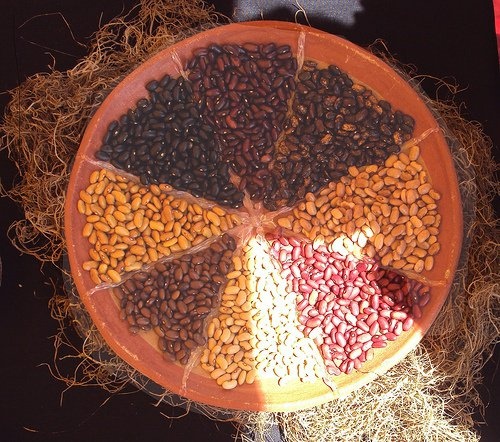 fagioli-500x442