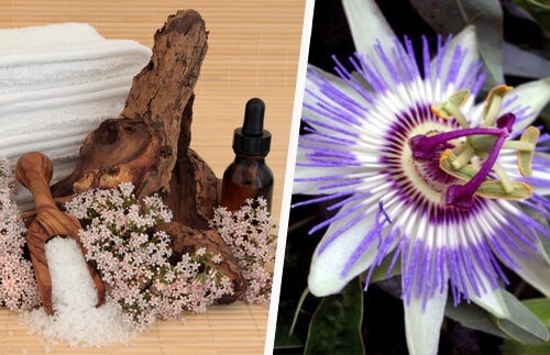 Passiflora per calmare l'ansia