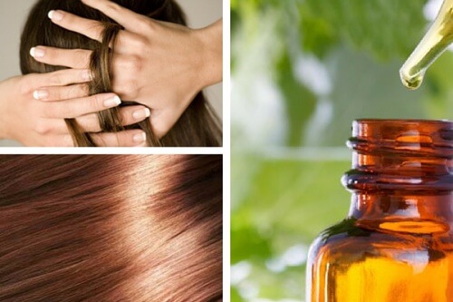 Preparare sieri naturali per nutrire e riparare i capelli Preparare sieri naturali per nutrire e riparare i capelli