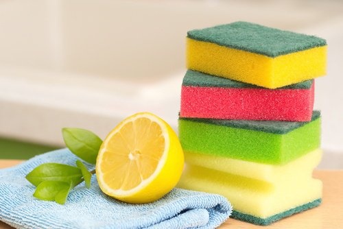 Limone e spugnette