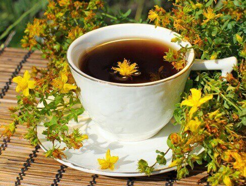 Tazza con erba di san giovanni tra le tisane per calmare l'ansia