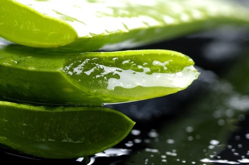 Aloe vera contro i funghi dei piedi