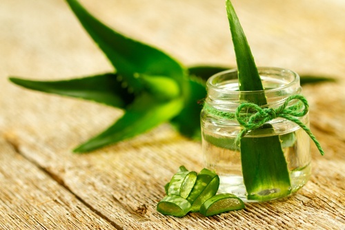 Gel di aloe vera e foglie
