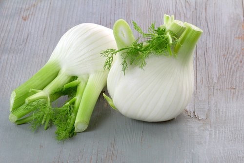 Finocchio