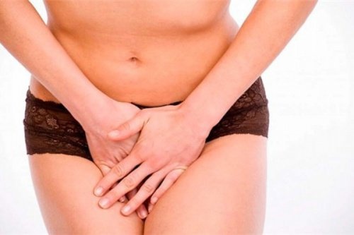 Equiseto contro le infezioni vaginali