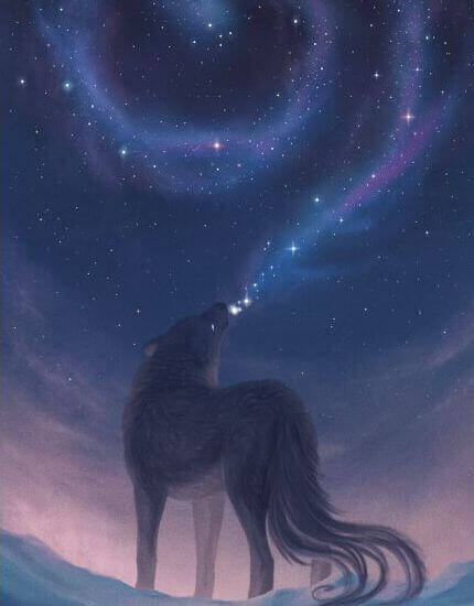 Bellezza autentica lupo di notte