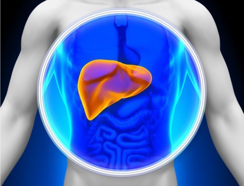 Piante medicamentose: 4 rimedi per disintossicare il fegato