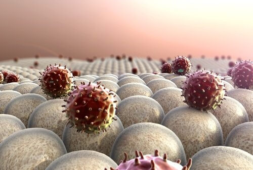 Il sistema immunitario