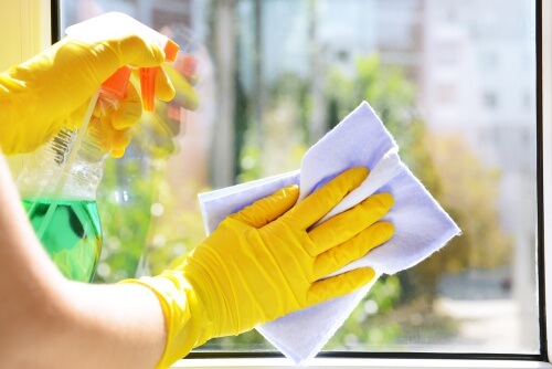 6 detergenti ecologici per vetri 6 detergenti ecologici per vetri