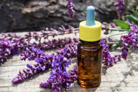 Olio essenziale di lavanda.