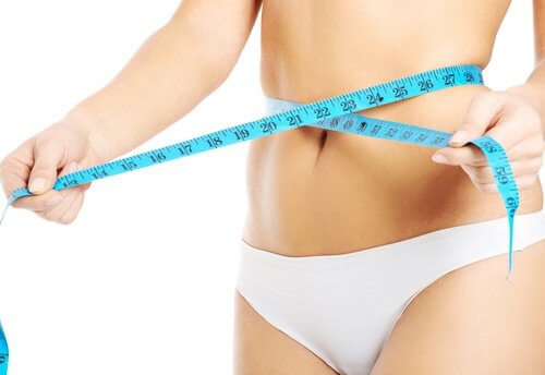 Seme dell'avocado per perdere peso