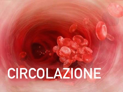 circolazione