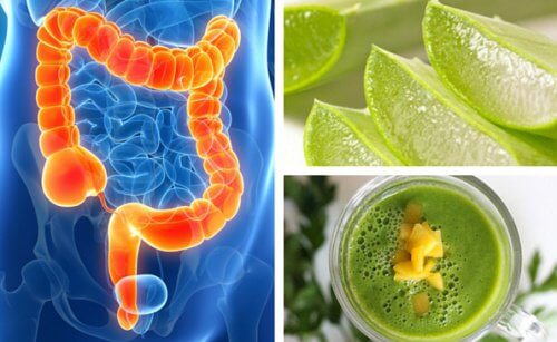 4 frullati deliziosi e curativi per depurare il colon