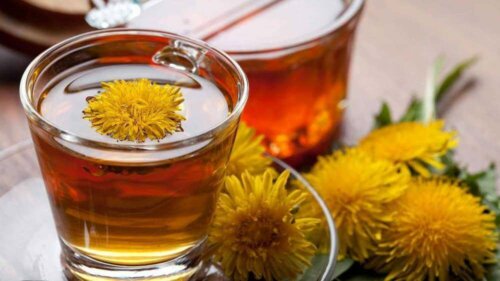 Dente di leone tra i 9 diuretici naturali