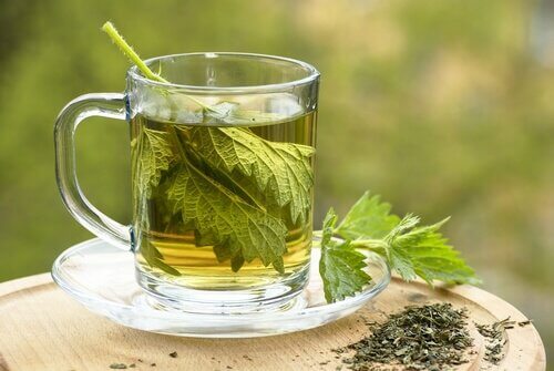 infuso all'ortica